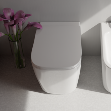Cuvette Wc au mur sans bride Glamour