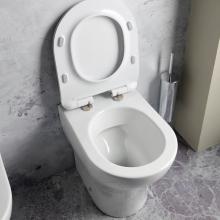 Cuvette Wc Fil au Mur Daisy