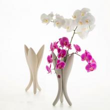 Vase Tulli