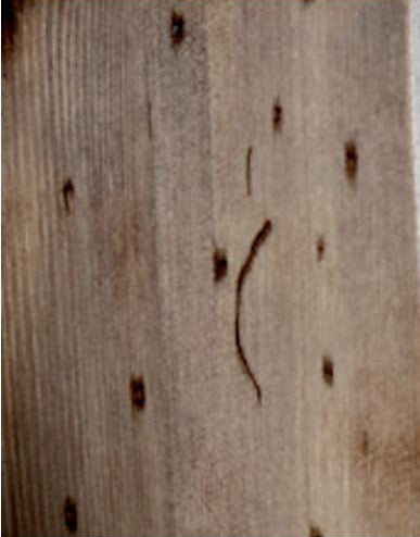 MOBILE DA TERRA IN LEGNO CON SPECCHIO TELA BACILE